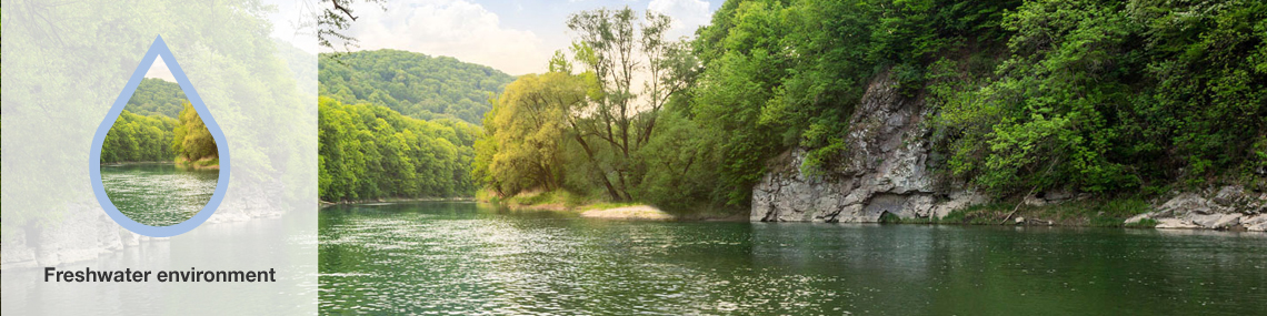 Freshwater environment Freshwater environment