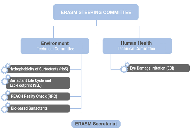 organigramme-2019
