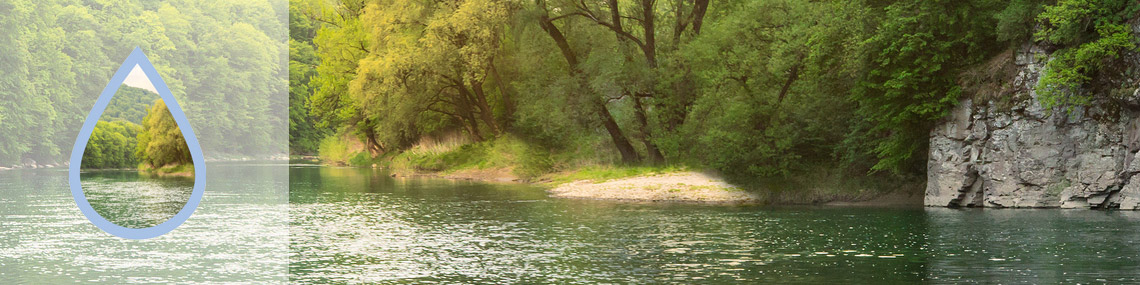 Freshwater environment EXPOSURE ASSESSMENT TOOL PROJECT